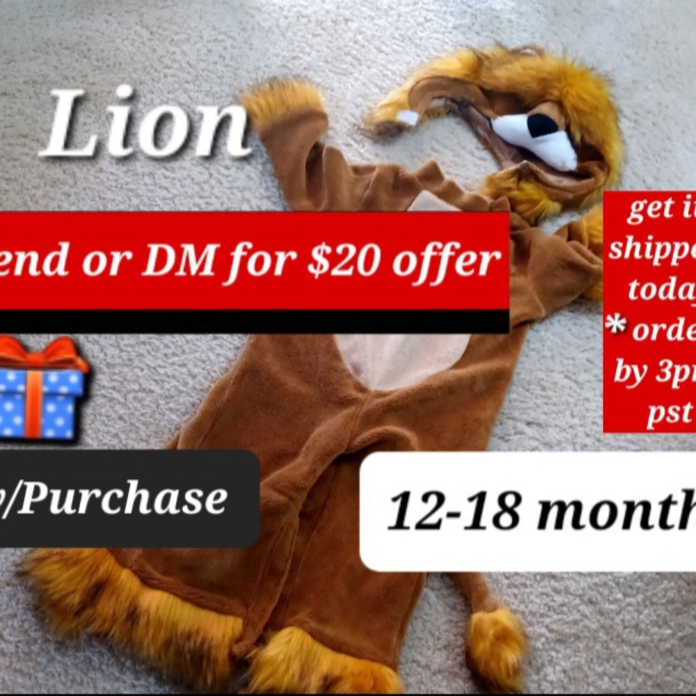 Baby 🦁 Lion  Halloween costume, 12 - 18 months,